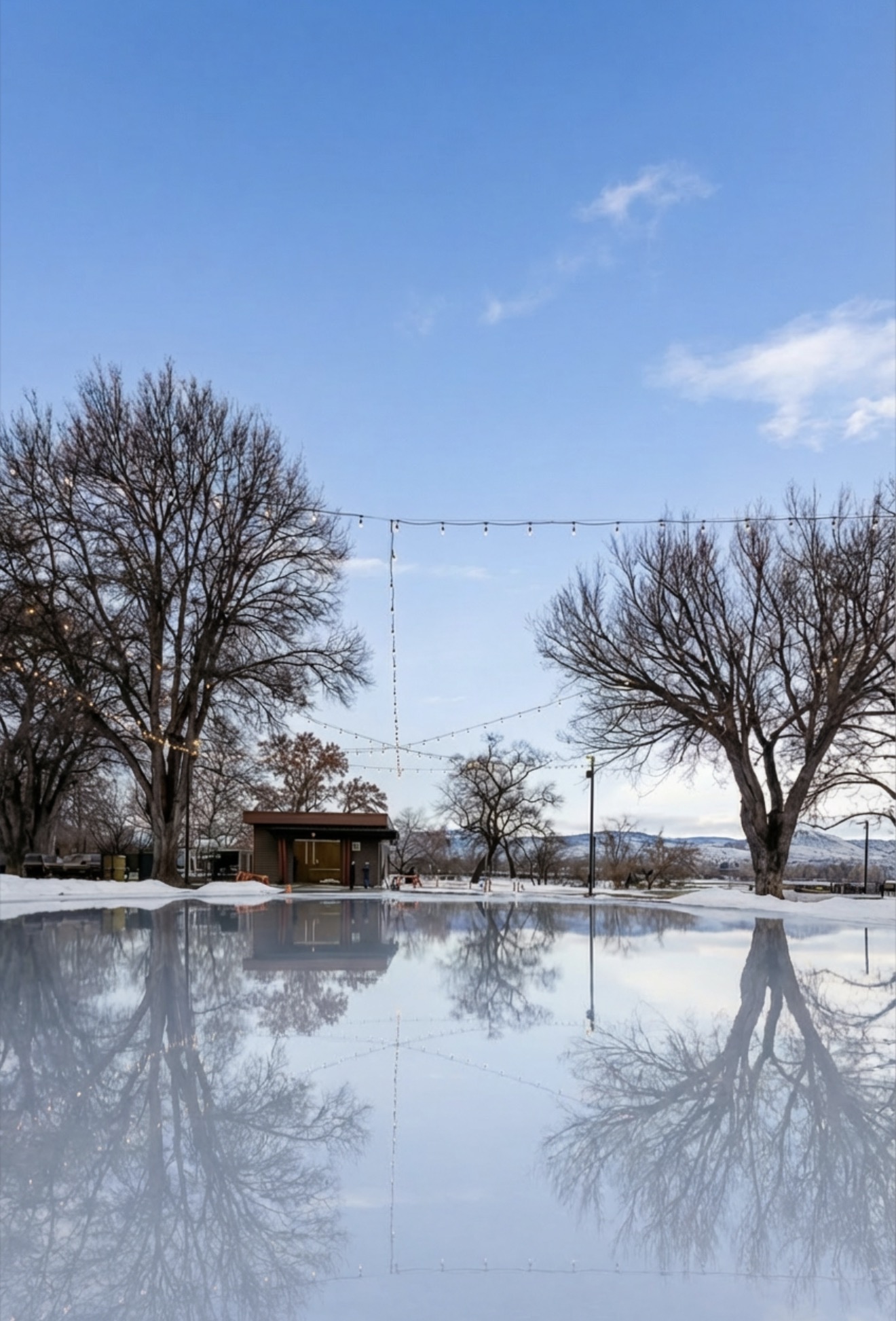 Stunning reflection of trees and lights on the smooth ice of the Kamloops Riverside Park outdoor rink